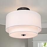 Modern Flush Mount Ceiling Light Fixture - Easric