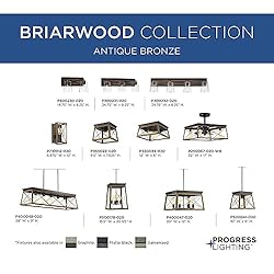 Briarwood Collection 5-Light Coastal Chandelier