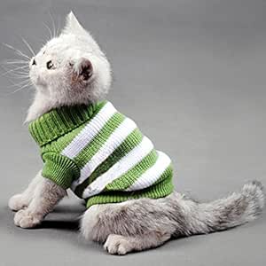 sweaters for kittens