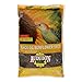 Audubon Park 12261 Black Oil Sunflower Seed Wild Bird Food, 10-Pounds