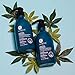 Luseta Hemp Oil Complex Shampoo & Conditioner Set, Argan Oil, Hair Loss/Repair, Thickens & Enriches Thinning Hair for Men & Women Parabans & Sulphate Free for All Hair Types 2 x 16.9ozthumb 1