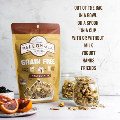 PALEONOLA PINA COLADA GRAIN FREE GRANOLA, 10 OZ RESEALABLE BAG (PACK OF 1) – GRAINLESS PALEO GRANOLA BLENDED WITH DRIED COCONUT, NUTS, SEEDS & PINEAPPLES – LOW CARB GLUTEN & DAIRY FREE, NON-GMO SNACK