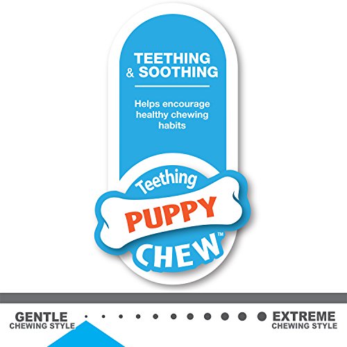 Nylabone Puppy Chew Chicken Puppy Toy Twin Pack, X-Small