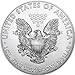 2019 American Silver Eagle Coin $1 Brilliant Uncirculated US Mint Box