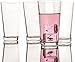 Circleware Theory Drinking Glasses, Set of 4, 17 oz, Clear, 4 pc Theory1