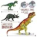 Dinosaur Toys Toy Dinosaurs [18 ITEMS SUPER SET] [USA SELLER] Boys Girls Kids - 3 4 5 + Year Old Age Gift Jurassic Age Park Large Big 2 T Rex, Spinosaurus, Raptor, Egg, Book, Stickers, Playset (6