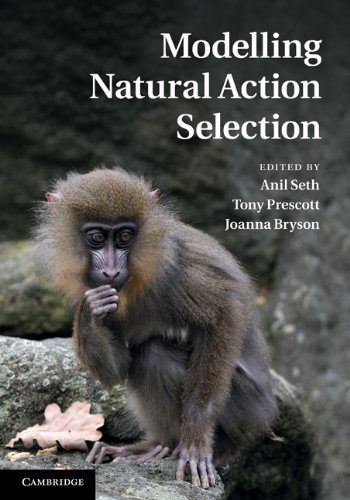 MODELLING NATURAL ACTION SELECTION
