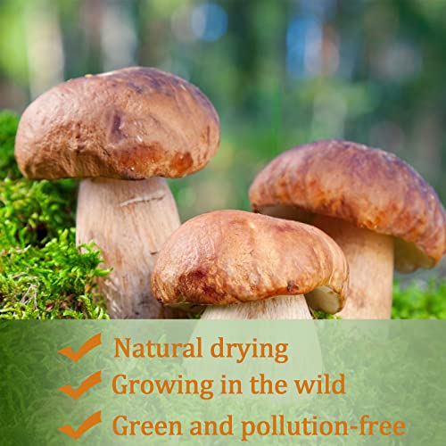 Yan Hou Tang Dried Porcini Mushrooms Wild Boletus 4 oz 112g Mycelium Spawn Spores Pine Bolete White Mushroom King