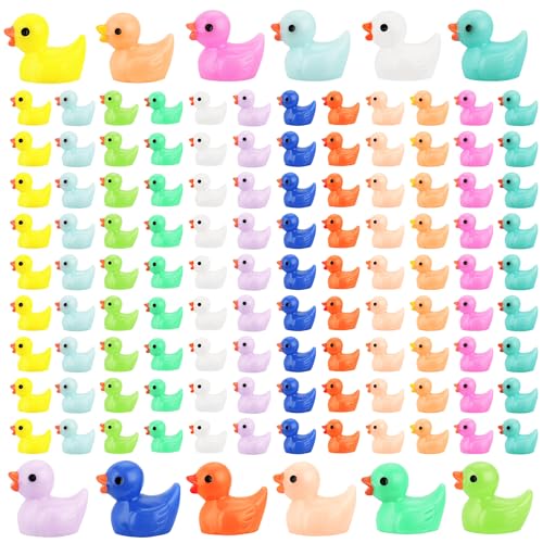 Rclxl 240Pcs Mini Resin Ducks, Tiny Duck Figurines Bulk, Mini Ducks for Miniature Characters Fairy Micro Landscape Aquarium Dollhouse and DIY Decorative Accessories (12 Color-Multicolored)