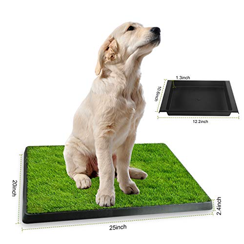 small grass patch for dogs