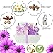 Luxe Bath Spa Gift Set. New 2021 Self Care Spa Kit with Bathrobe! Luxurious Bath & Body Products to Rejuvenate Head to Toe! Moisturizing Pampering Gift for Her, New Mom (Lavender)