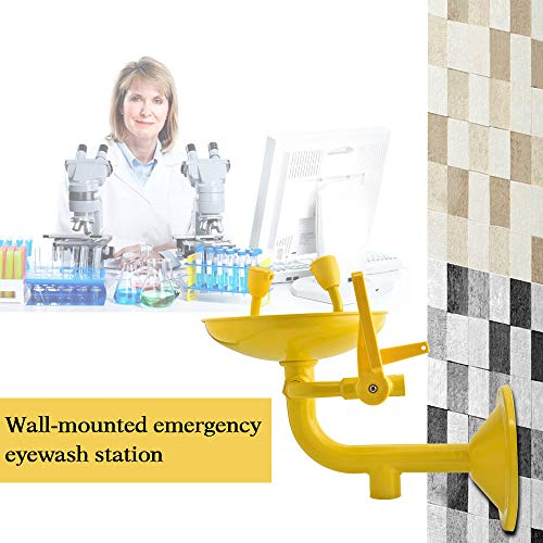 SEAAN Emergency Eyewash Station Wall Mounted Eye Face Washer Shower Stainless Steel Bowl Double Mouth Push-Handle Control Built-in Filter ABS Anti-Corrosion Coating