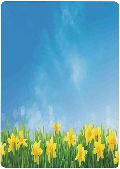 Amazon 壁紙 絵画風ポスター 水仙の装飾 草フィールドの春の水仙の花日当たりの良い空の装飾的な花の家の装飾 黄色緑青30x40cm 風景 いろいろ ウォールステッカー オンライン通販