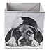 Clever Creations Kids Collapsible Storage Organizer and Ottoman, Perfect Animal Themed Toy Chest for Storing Books, Shoes, Games and More, Puppy Laying Down