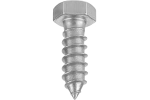 1/4" x 1" Hex Head Lag Screws, 304 Stainless Steel 18-8, Fully Threaded, Pack of 50 - Heavy Duty Wood Screws by IMSCREWS