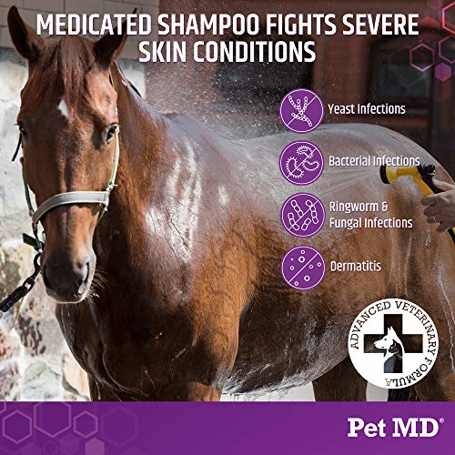 Pet MD MicosebCX Medicated Shampoo for Dogs, Cats, Horses with
