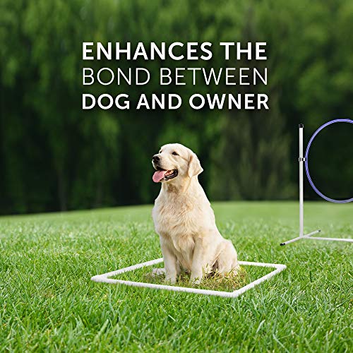 Better Sporting Dogs Deluxe Agility Equipment Set | 3 Jumps | 2 Tunnels | Weave Poles | Pause Box