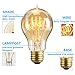KINGSO 6Packs Vintage Edison Bulbs 60W A19 Squirrel Cage Filament Incandescent Antique Dimmable Light Bulb for Home Light Fixtures E27 Base 110V-23 Anchors