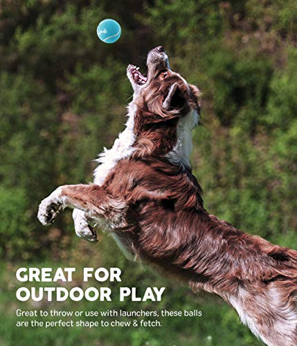 Outward Hound Squeaky Tennis Balls 4-Pack - Medium - Image 4
