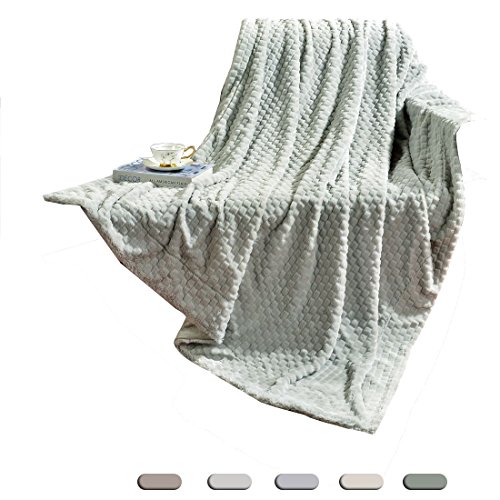 Decosy Fresh Soft Velvet Plush Mint Green Throw Blanket 60"x 70