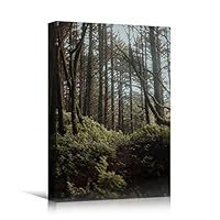 Canvas Wall Art Green Forest Dramatic Forest Landscape Living Room Multicolor Photography Rustic - 12x18 inches