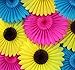 Devra Party 6-Pack 18 Inch Large Tissue Paper Sunflower Fan