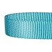 Blueberry Pet Essentials X-Small Dog Collar in Turquoise | Adjustable & Eco-Friendly Durable Nylon Strap | Classic Collar for X-Small Dogs, Boy & Girl Pets