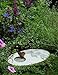 Gardeners Supply Company Ceramic Butterfly Puddling Stone | Outdoor Lawn Garden Decor, Backyard Haven & Attracts Pollinator Butterflies with Water & Mineral Holder Well | Perfect for Flower Garden
