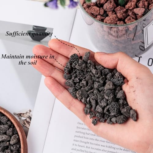 JOHOUSE 2.5 LB Black Horticultural Lava Rocks, Lava Rocks for Plants Natural Horticultural Volcanic Rocks for Succulents Bonsai Vase Fillers Garden