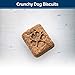 Blue Buffalo Wilderness Trail Treats High Protein Grain Free Dog Biscuits Crunchy Dog Treats, Salmon Recipe, 10-oz Bag
