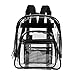 Medium Clear Transparent Backpack