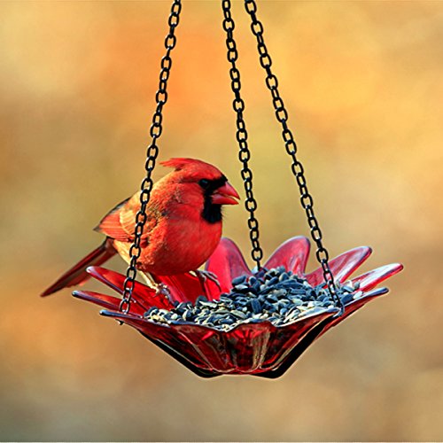 Romantic Decor and More Glass Daisy Birdbath 8 in. G290VF Aqua Transparent Wild Bird Feeder, Colored Birdseed Bowl