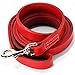 Logical Leather 6 Foot Dog Leash - Best for Training - Heavy Full Grain Leather Lead - Red