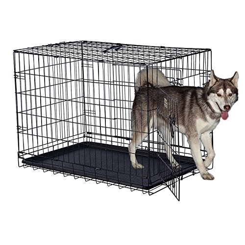Pet Trex 36" Folding Pet Crate Double Door Kennel Wire Cage with