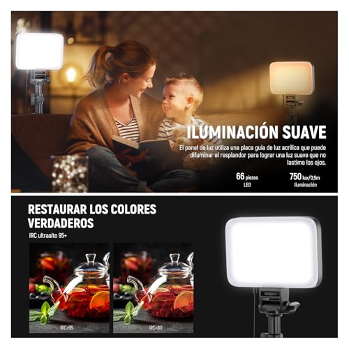 NEEWER Básico Panel Luz Vídeo LED Kit, 2 Pack Bicolor Estudio Foco Portátil con Soporte para Trípode y Filtros, 3200K~5600K CRI 95 750lux para Fotografía, Grabación, Transmisión en Vivo, BP66