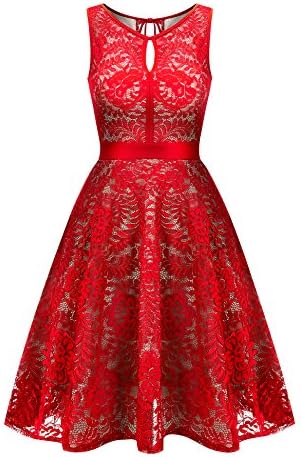 Uniboutique Women's Floral Lace Sleeveless Elastic Waist Pleated Swing Party Dress