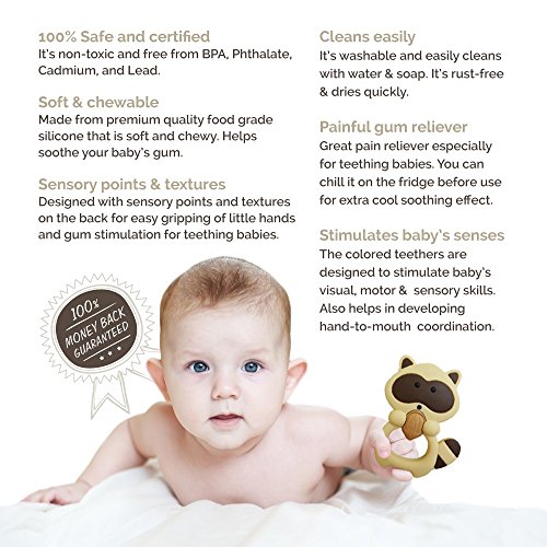 website template image