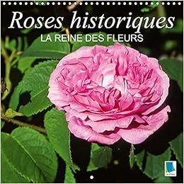 Roses Historiques La Reine Des Fleurs Beaute Senteur Et Une Certaine Nostalgie Les Roses Historiques Calvendo Nature French Edition Calvendo Amazon Com Books