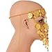 ZYZF Belly Dance Tribal Egyptian Halloween Costume Headwear Coins Face Mask Veil Tribal Bedouin Burka Burqa Metal Head Chain (Gold)