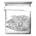 Star Wars Classic Falcon / California King Comforter - Super Soft Kids Reversible Bedding features the Millennium Falcon - Fade Resistant Polyester Microfiber Fill (Official Star Wars Product)