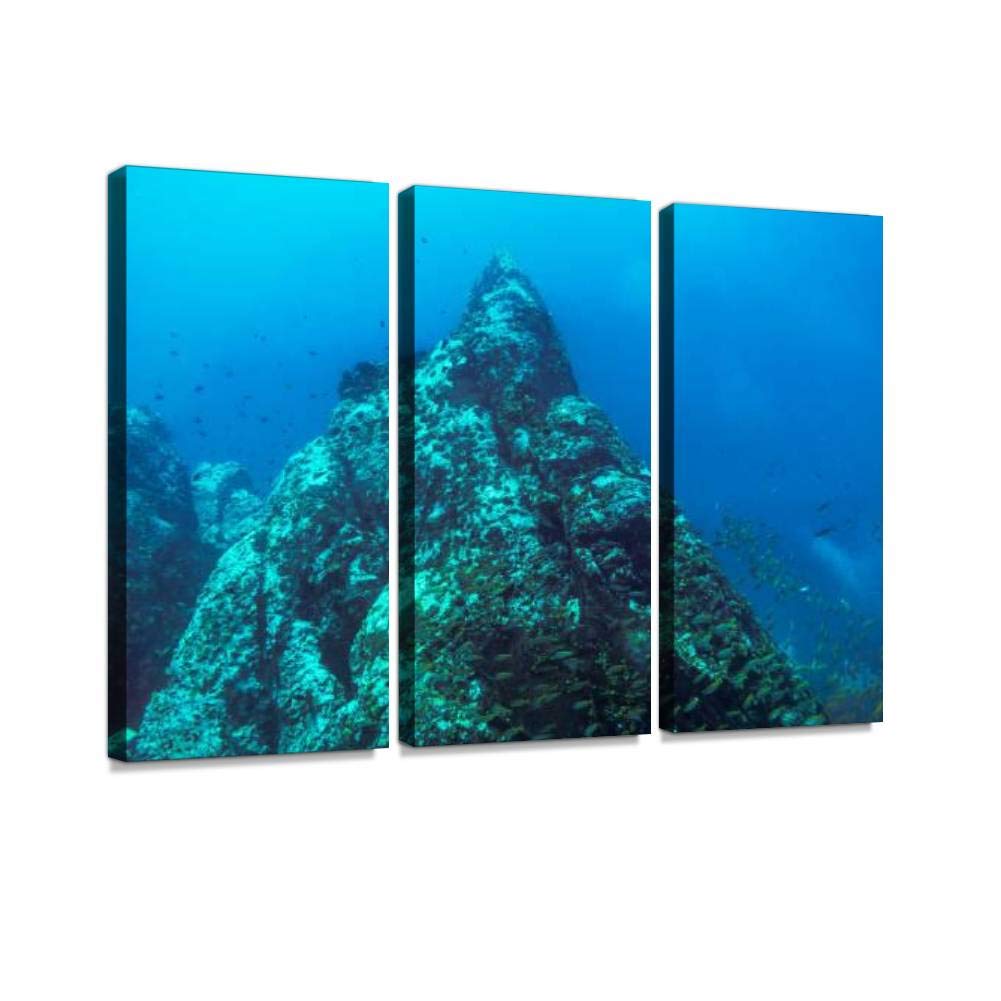 Amazon Com Underwater Deep Sea Pinnacle On Ocean Floor