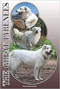 owning a great pyrenees