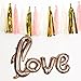 Bridal Shower Decorations Love Balloons Rose gold Tissue Paper Pom Poms Flowers Tassel Paper Garland Pink And Gold Party Supplies Kit