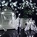Binval Solar String Light 2-Pack Waterdrop String Lights for Outdoor Patio Lawn Landscape Garden Home Wedding Holiday and Christmas Decorations[19.7feet - 6m - 30LED-White]