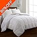 SOPAT Comforter Soft Goose Down Alternative Duvet Insert Summer Cooling 2100 Series Quilt with Corner Tab for All Season, Prima Microfiber Filled (White, King (90