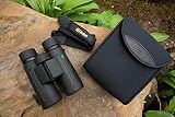Nikon PROSTAFF P3 10x42 Binoculars view 12