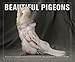 Beautiful Pigeons by 