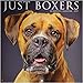 Just Boxers 2019 Wall Calendar (Dog Breed Calendar)