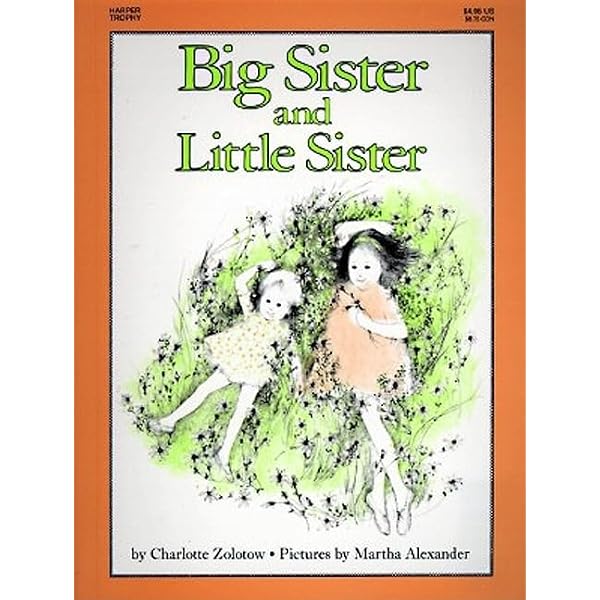 A Name for Sister: Cheng, Charlotte, Diao, Sophie: 9780063244979