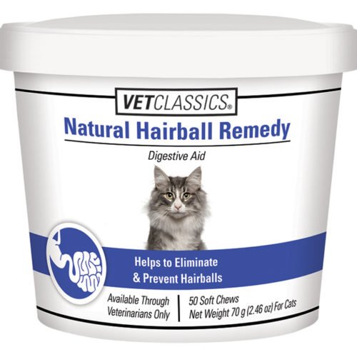 Do Cats Spit Hairballs toxoplasmosis